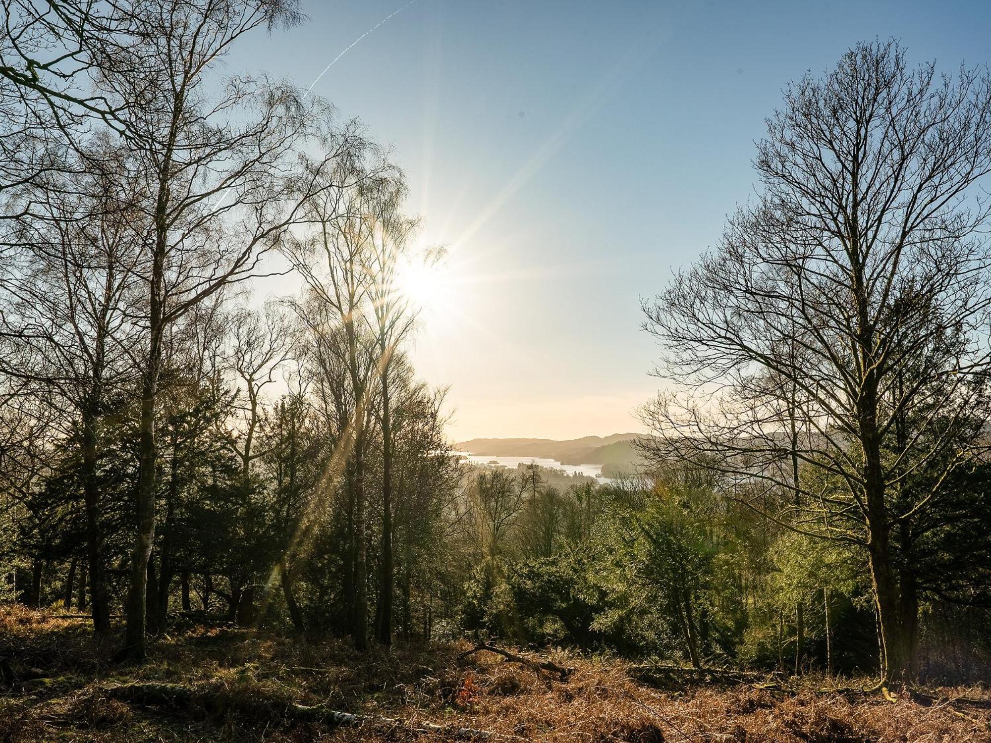 Orrest Howe Windermere