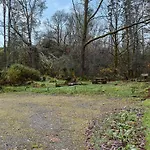 Beeches