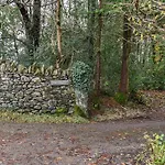 Beeches