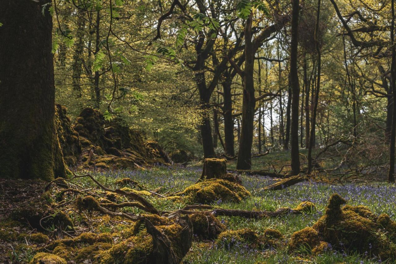 Merewood 4* Windermere