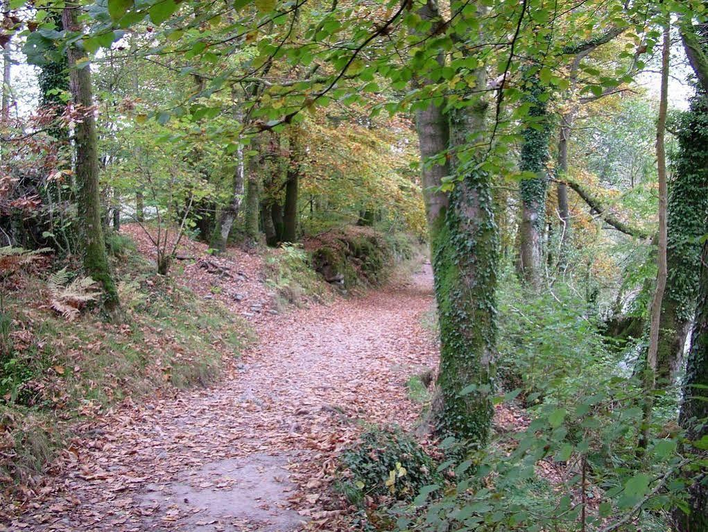 Bed & Breakfast Glencree Windermere