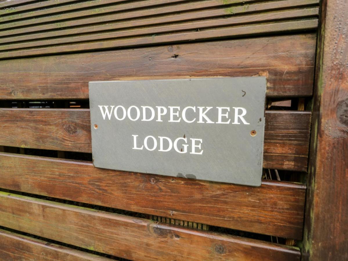 Woodpecker * Windermere