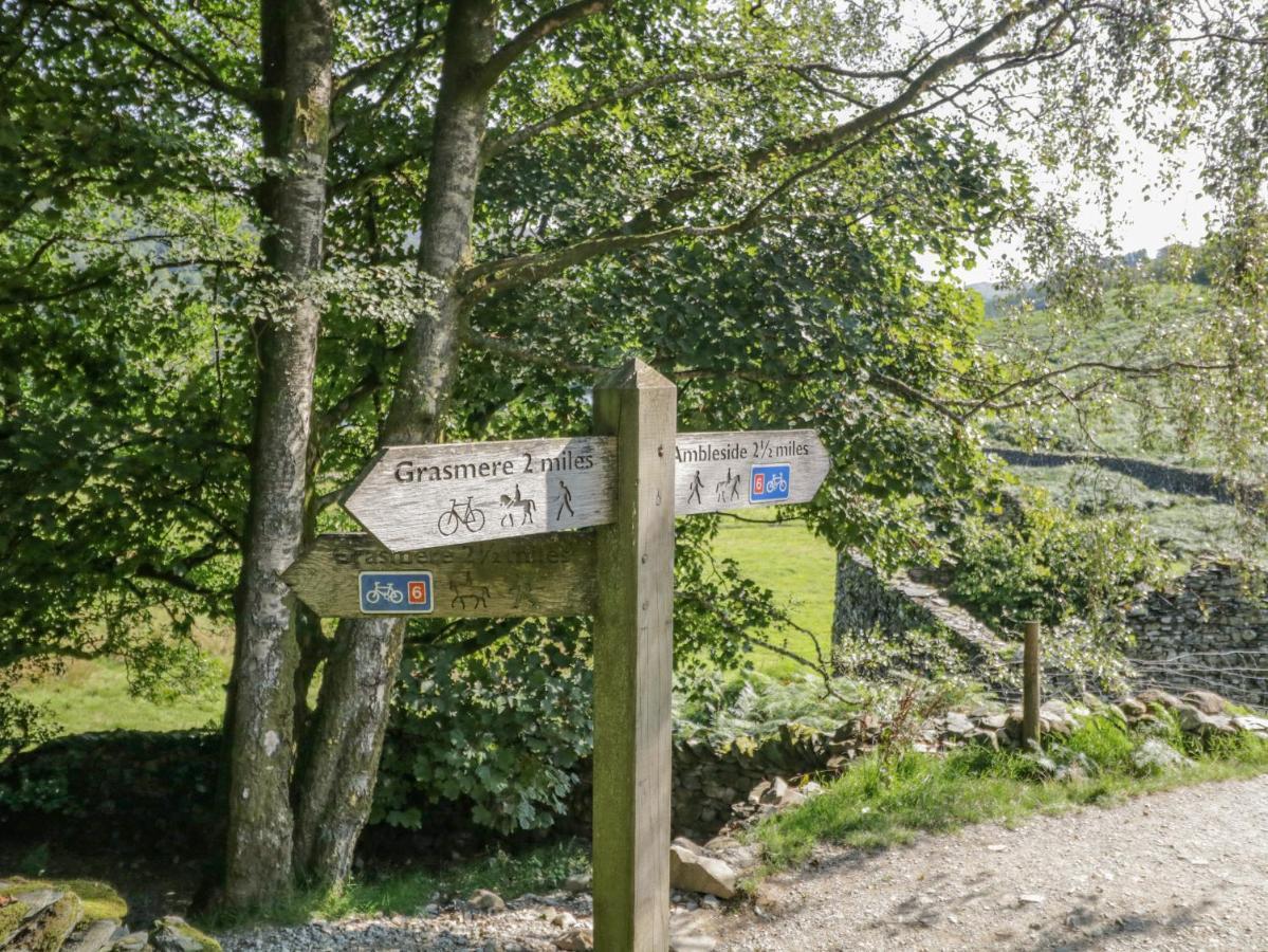 Nutkin Windermere