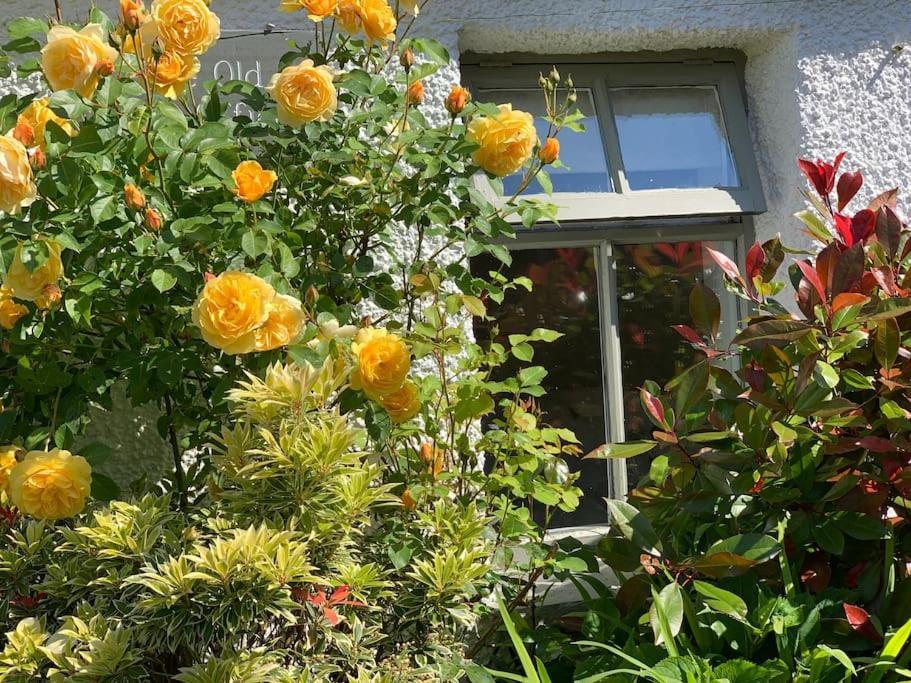 The Old Post Office, Cosy Grade Ii Listed 2 Bed * Windermere