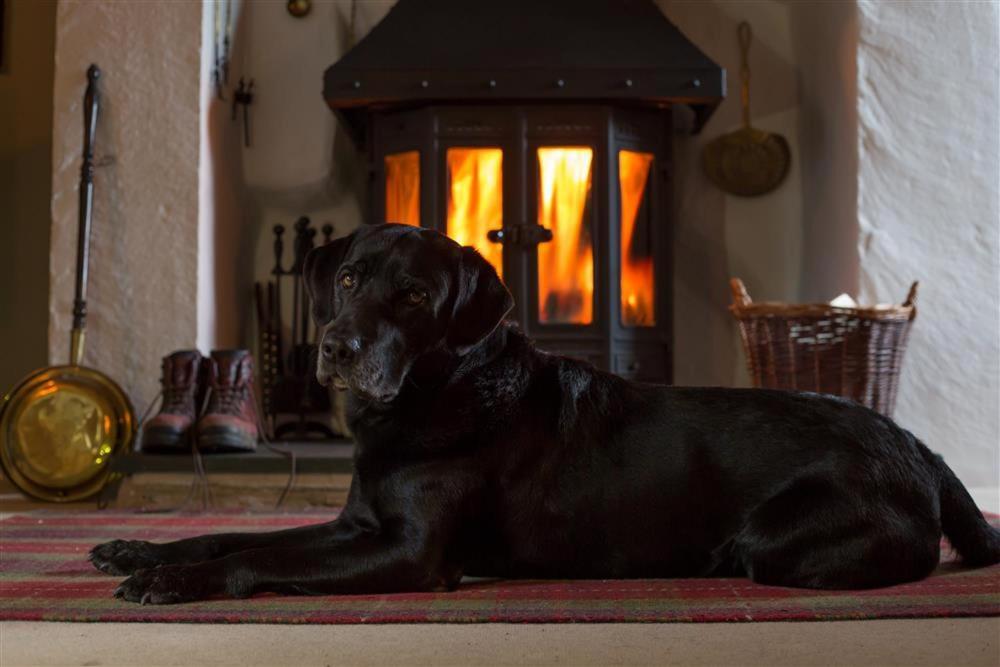 Old Droomer Holiday home Windermere