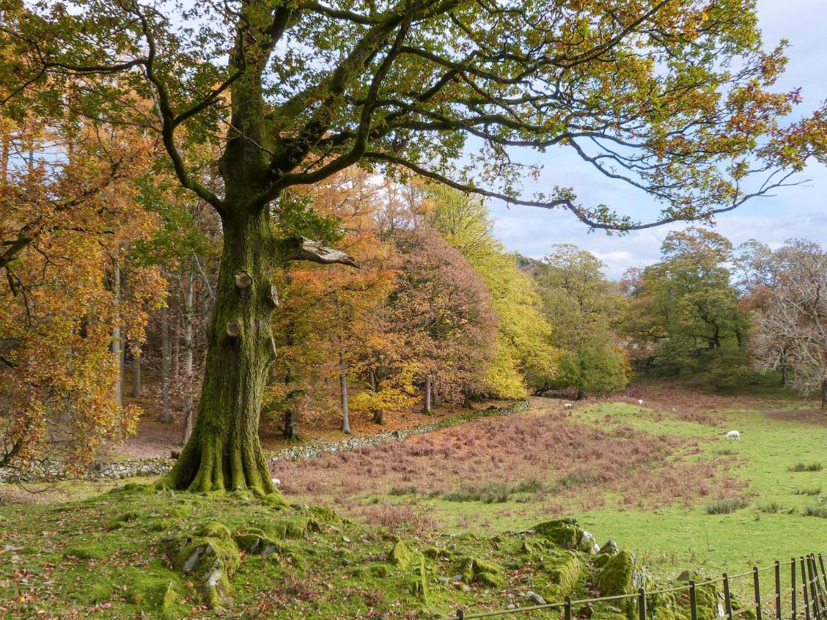 Holiday home Acorn Windermere
