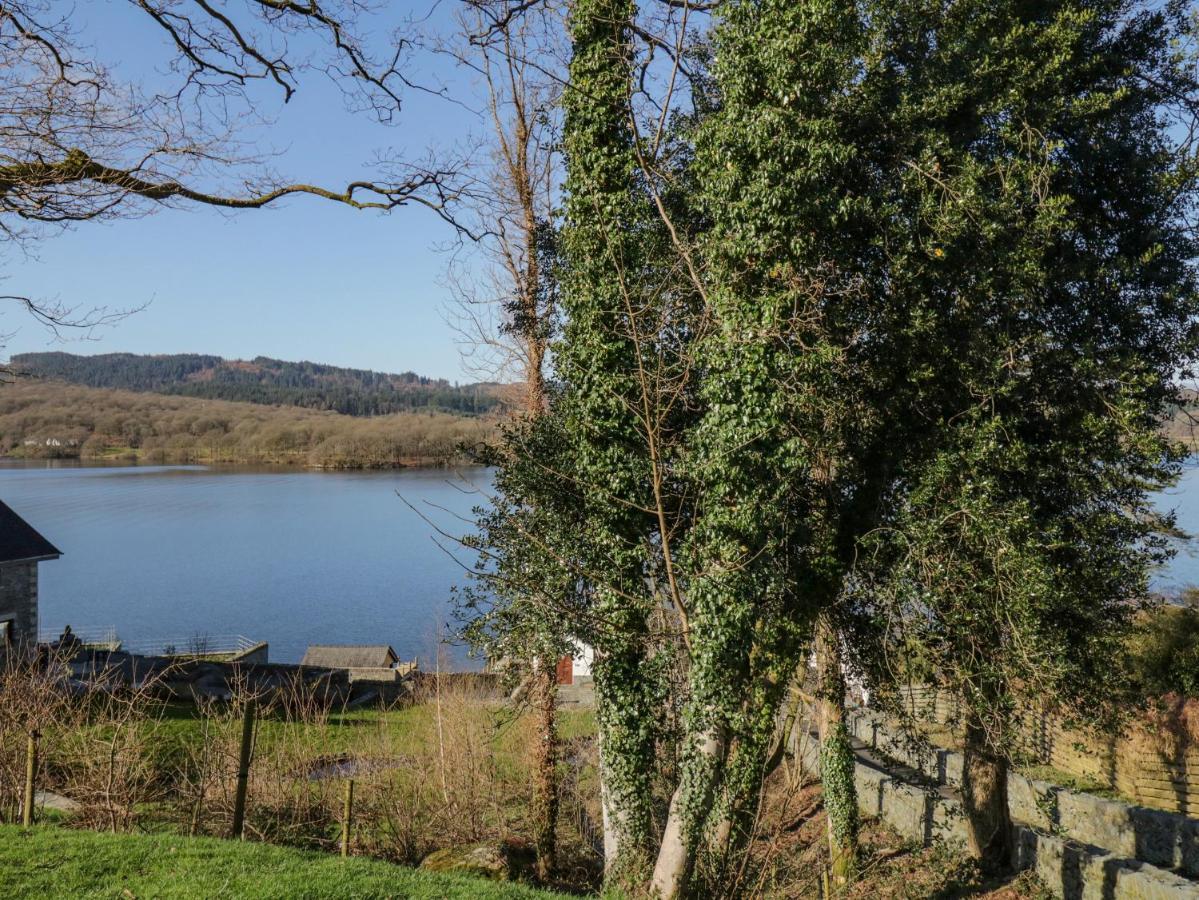 Lower View Windermere