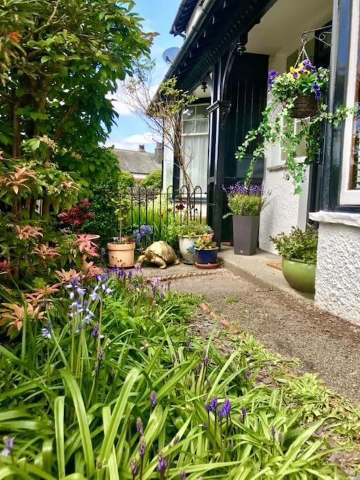 Wyresdale 7 Limethwaite *