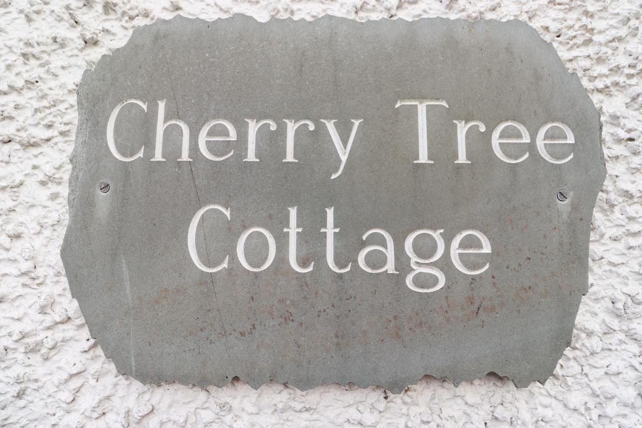 Cherry Tree *