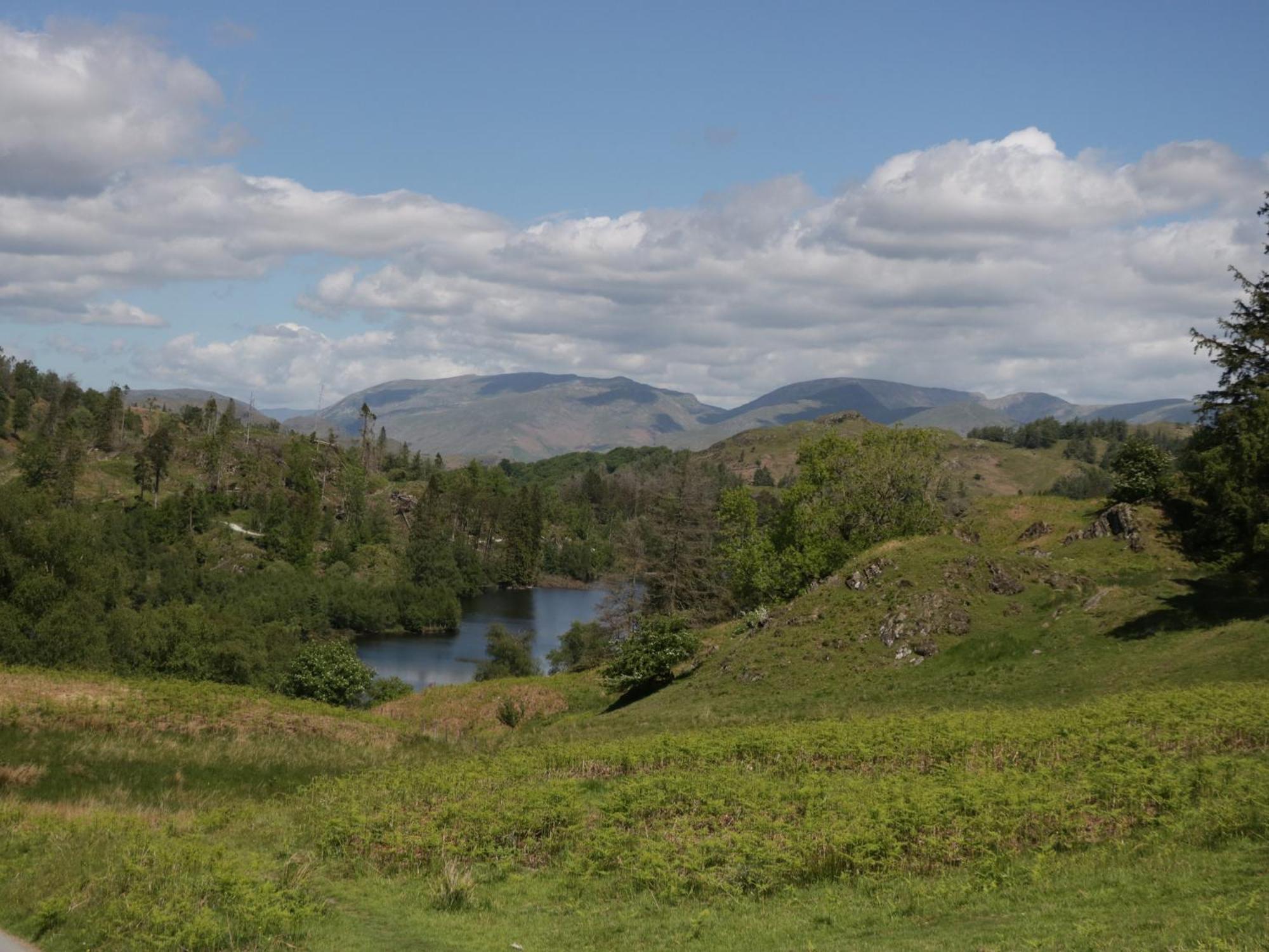 The Bird's Nest * Windermere