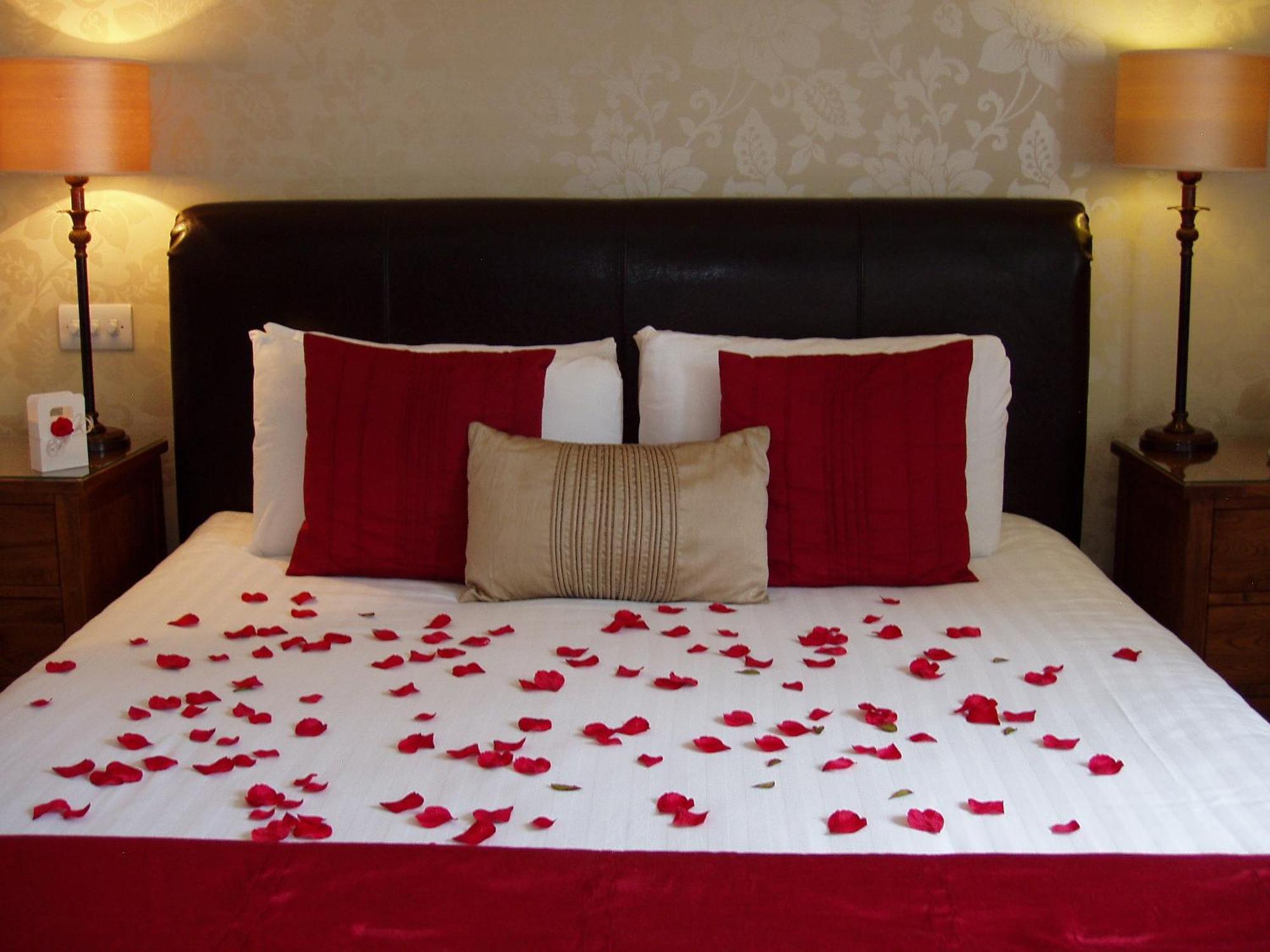 The Hideaway At (adults Only)