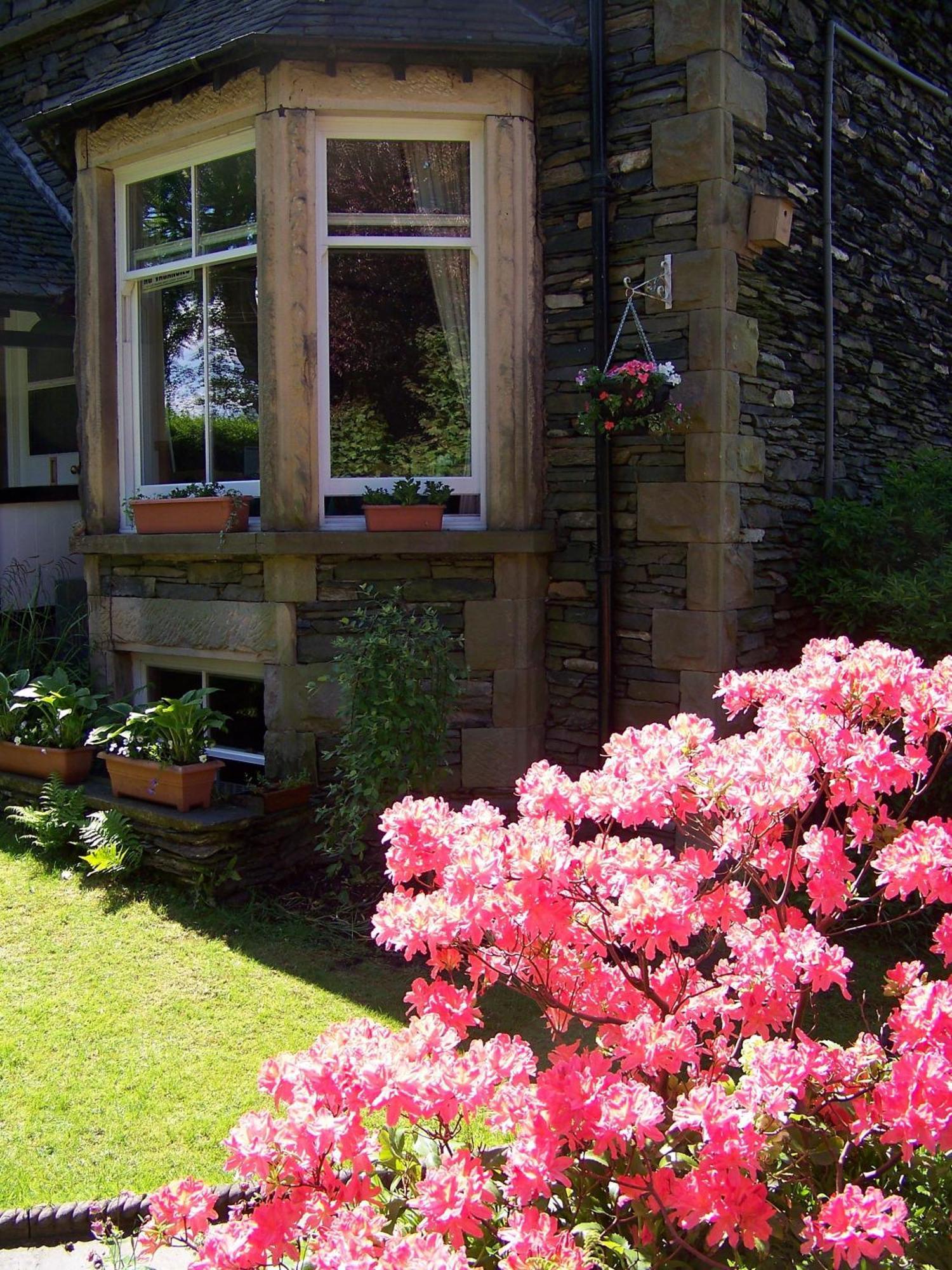 Laurel Windermere