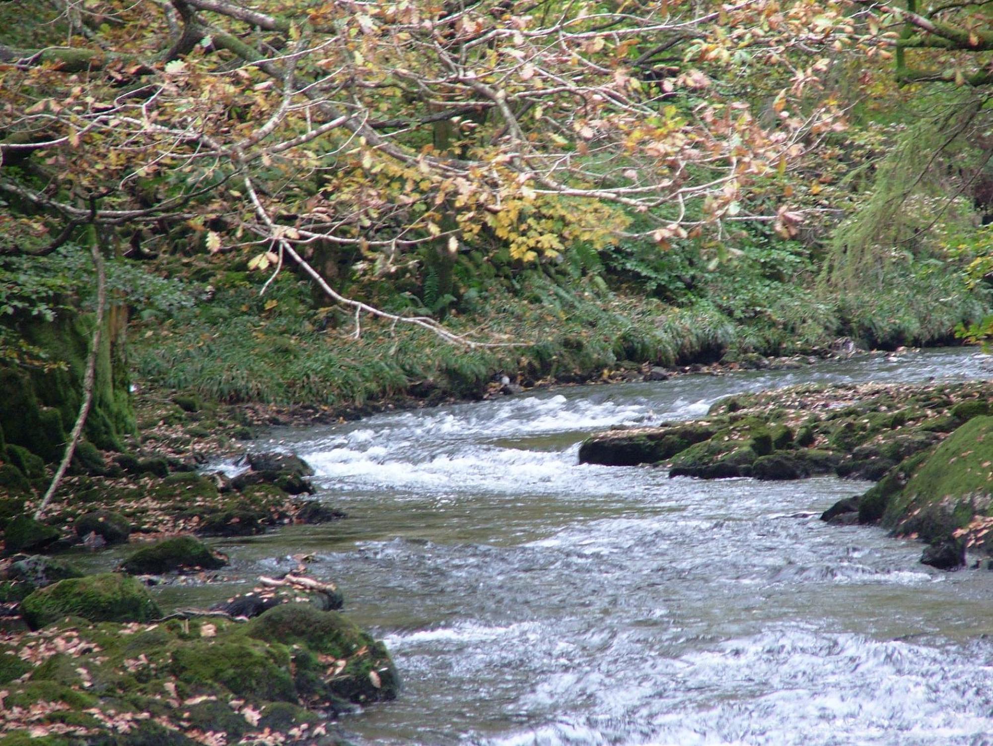 Bed & Breakfast Glencree Windermere