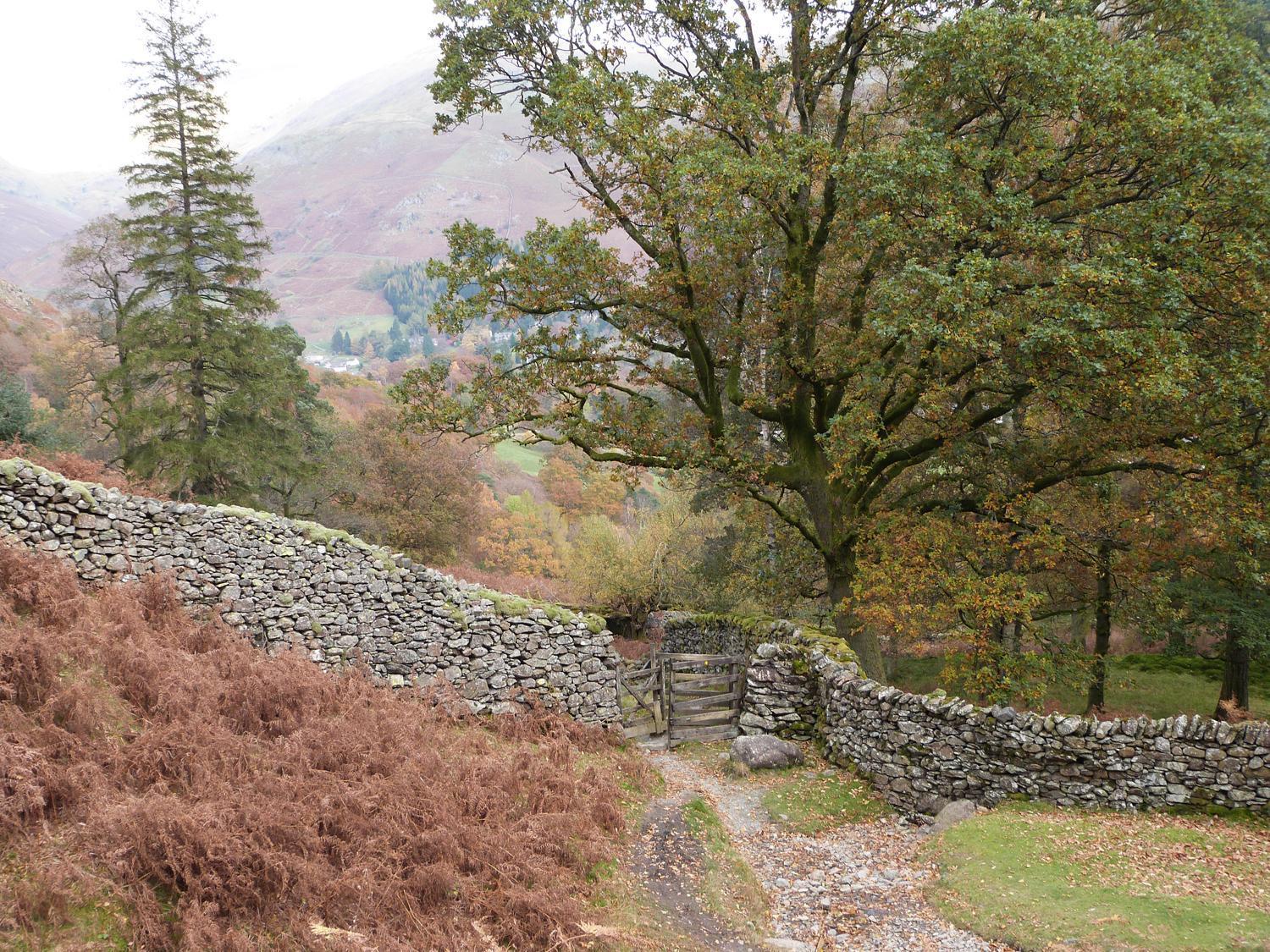 The Oaks Windermere
