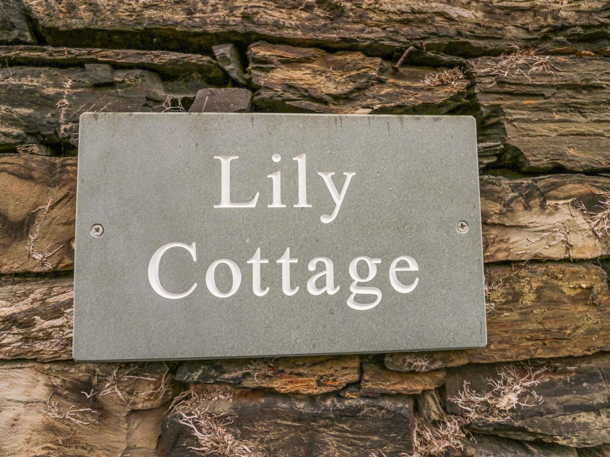 Lily