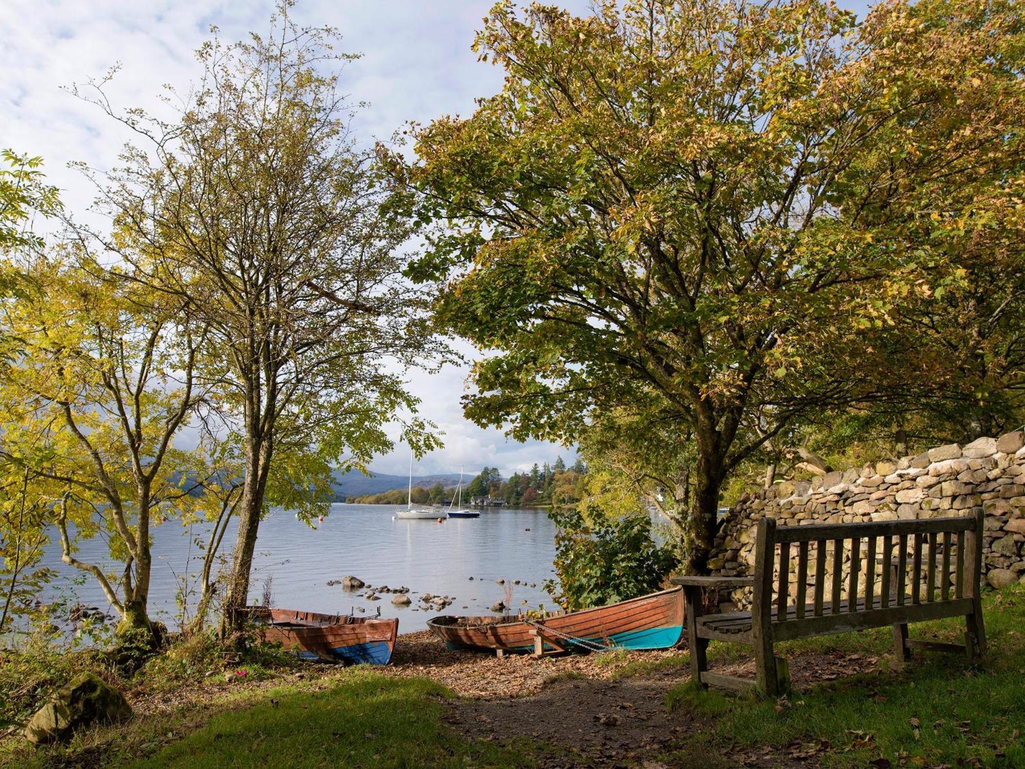 Beech Windermere