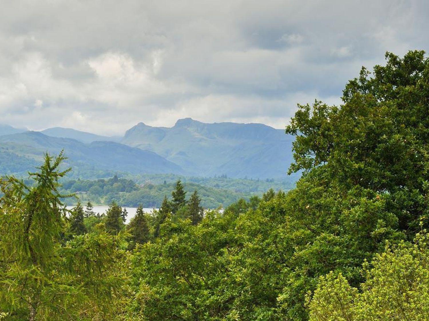 Bellflower * Windermere