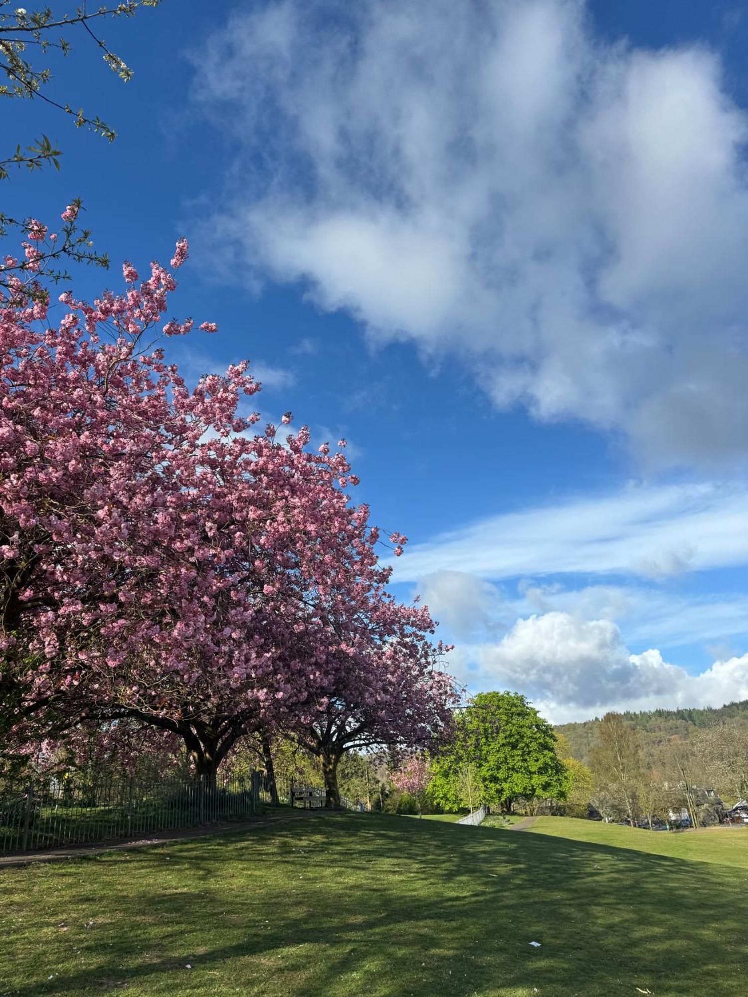 Guest house Denecrest Windermere