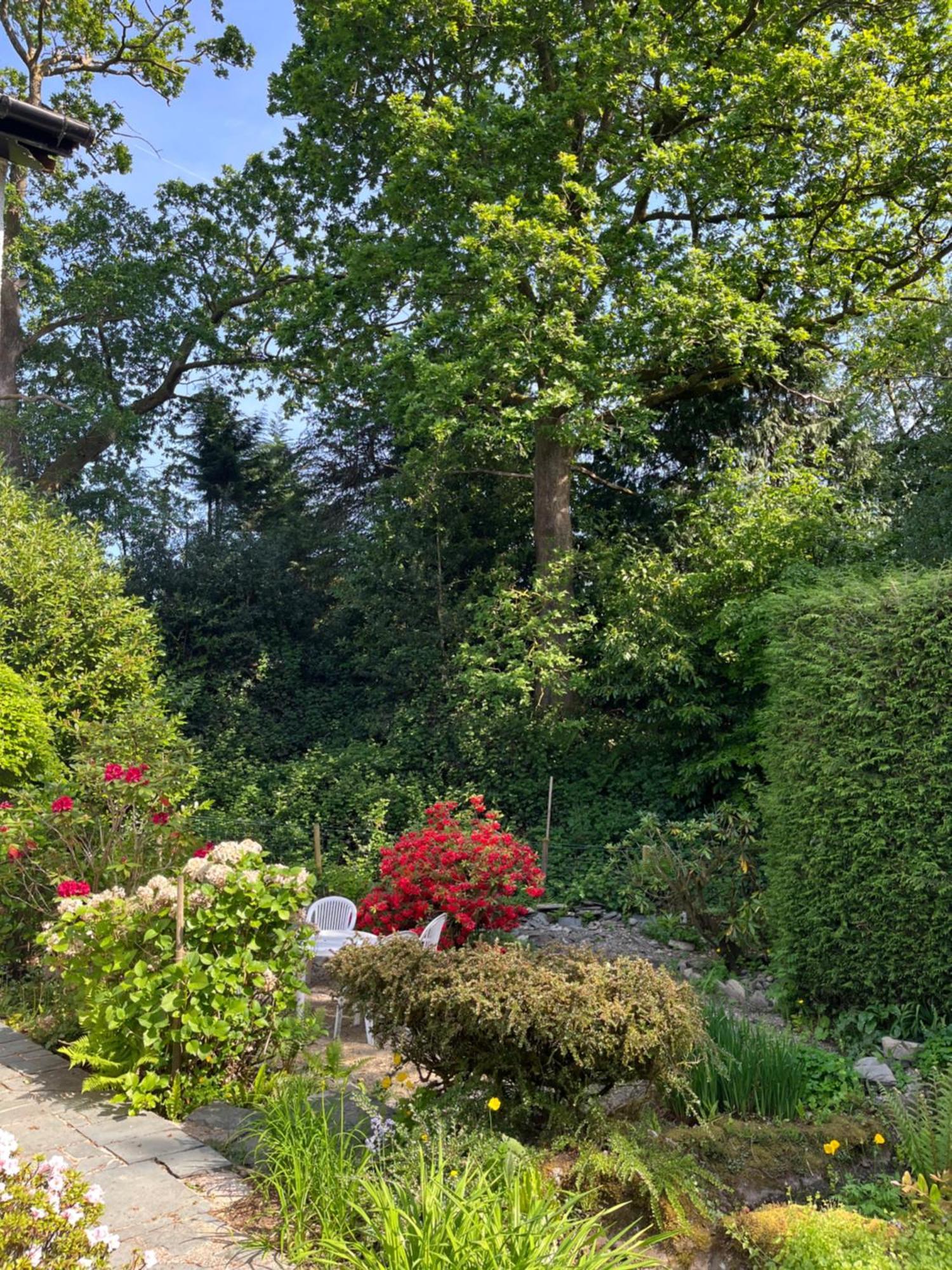 Holiday home The Shades - Bliss In The Heart Of Windermere