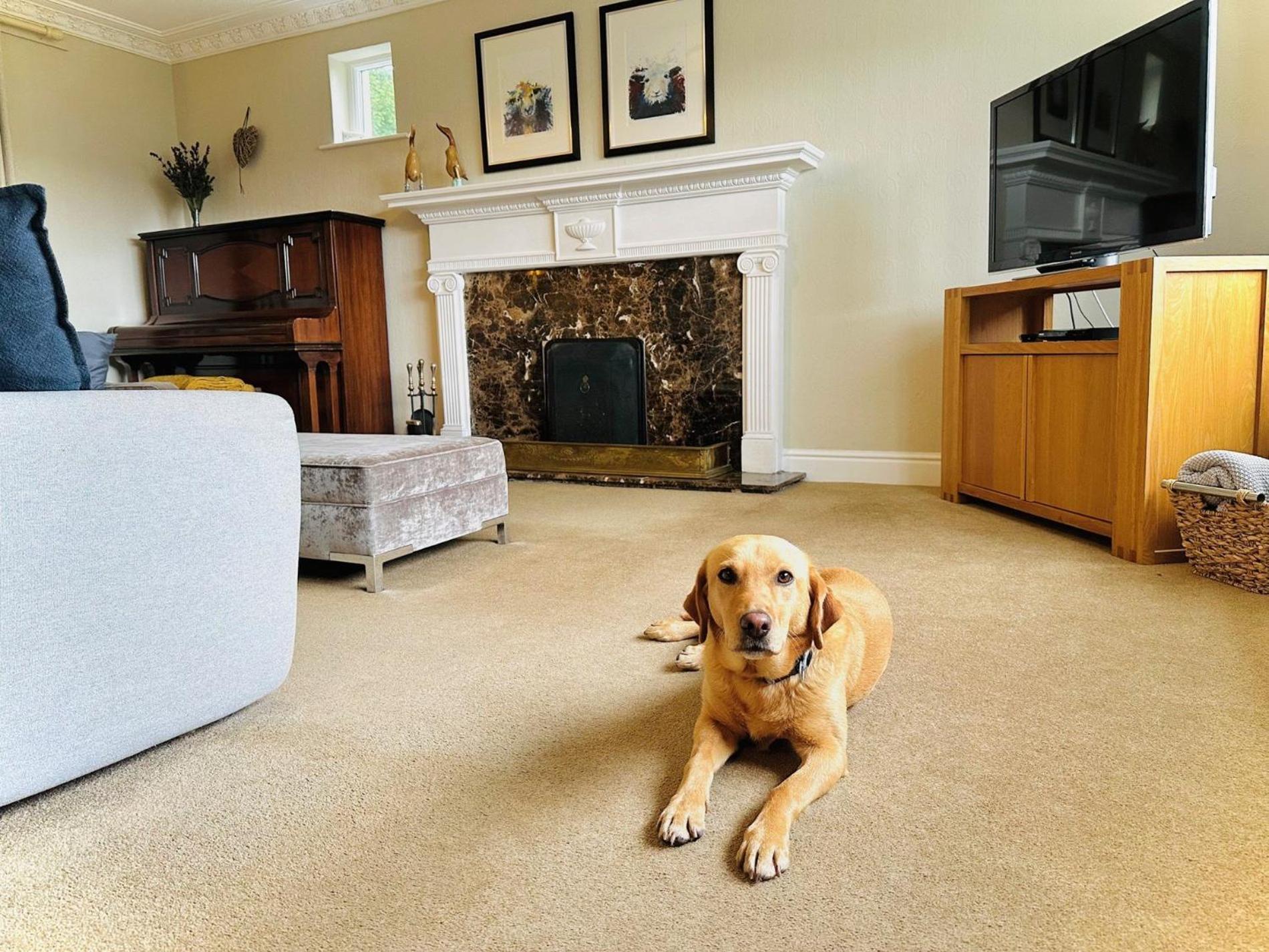 2 Bed In Sz579 * Windermere
