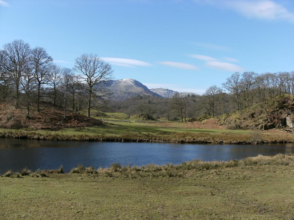 Glen Wynne - Free Off-site Health Club Access With Pool, Sauna, Steam & Gym