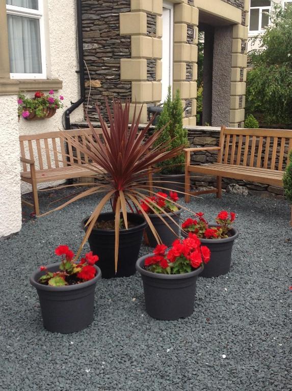Thornbank House Offering Breakfast And With Free Off Site Health Club Guest house