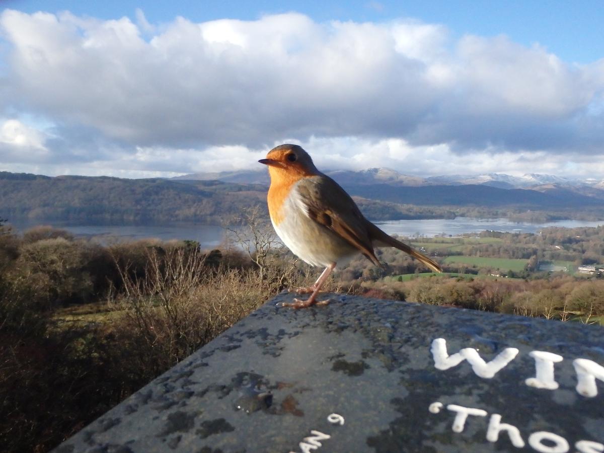 Haisthorpe 4* Windermere