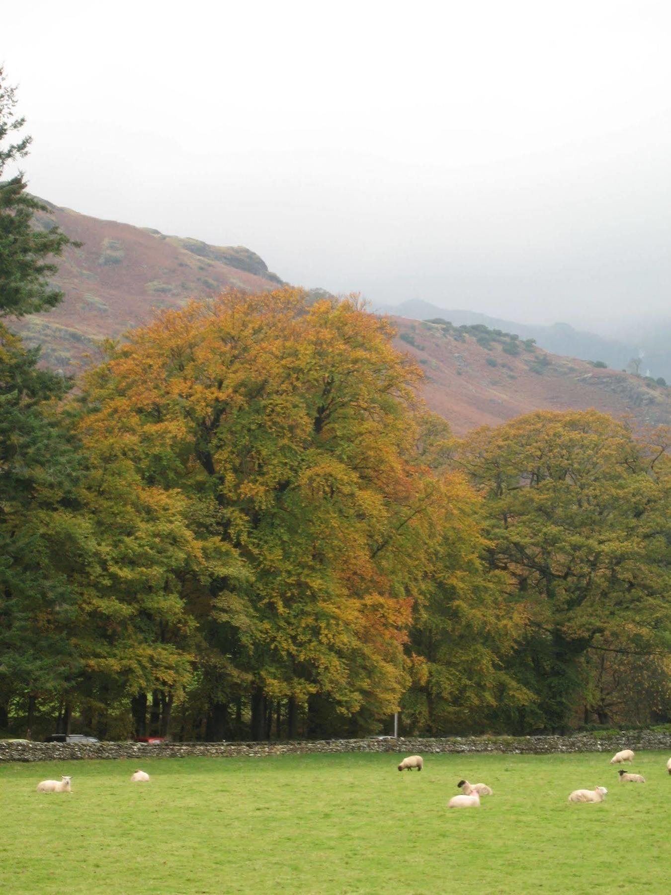 Crompton House * Windermere