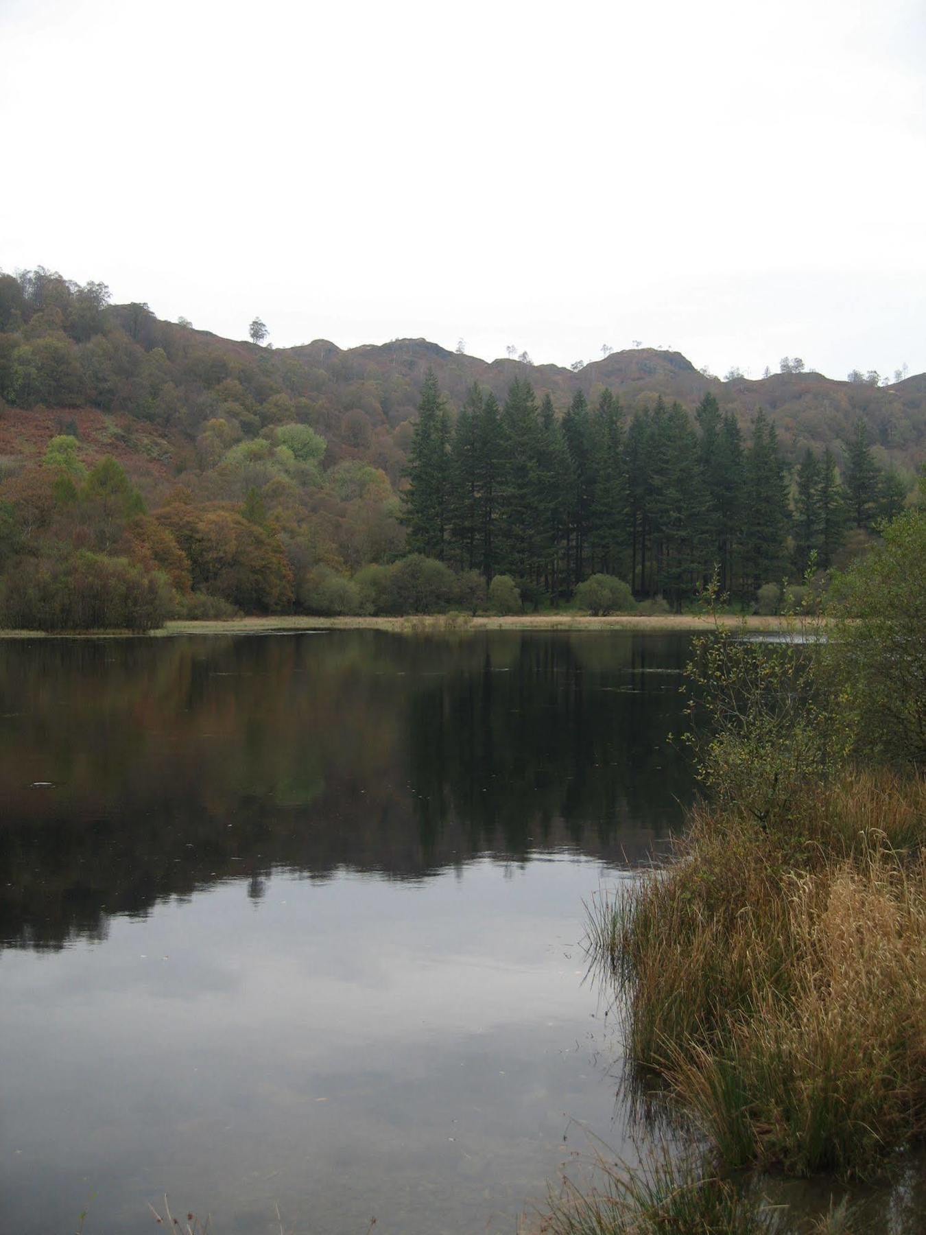 Crompton House Apartment Windermere