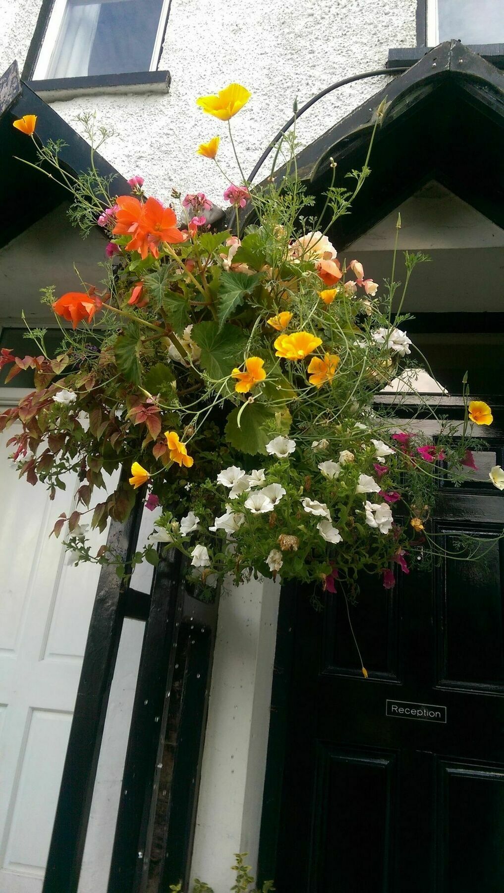 Langdale View Bed & Breakfast