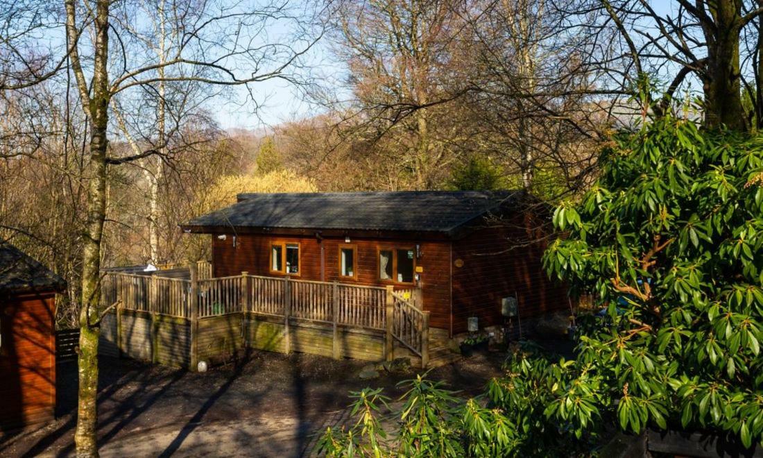 Alojamento Owls House, White Cross Bay, Ambleside, *