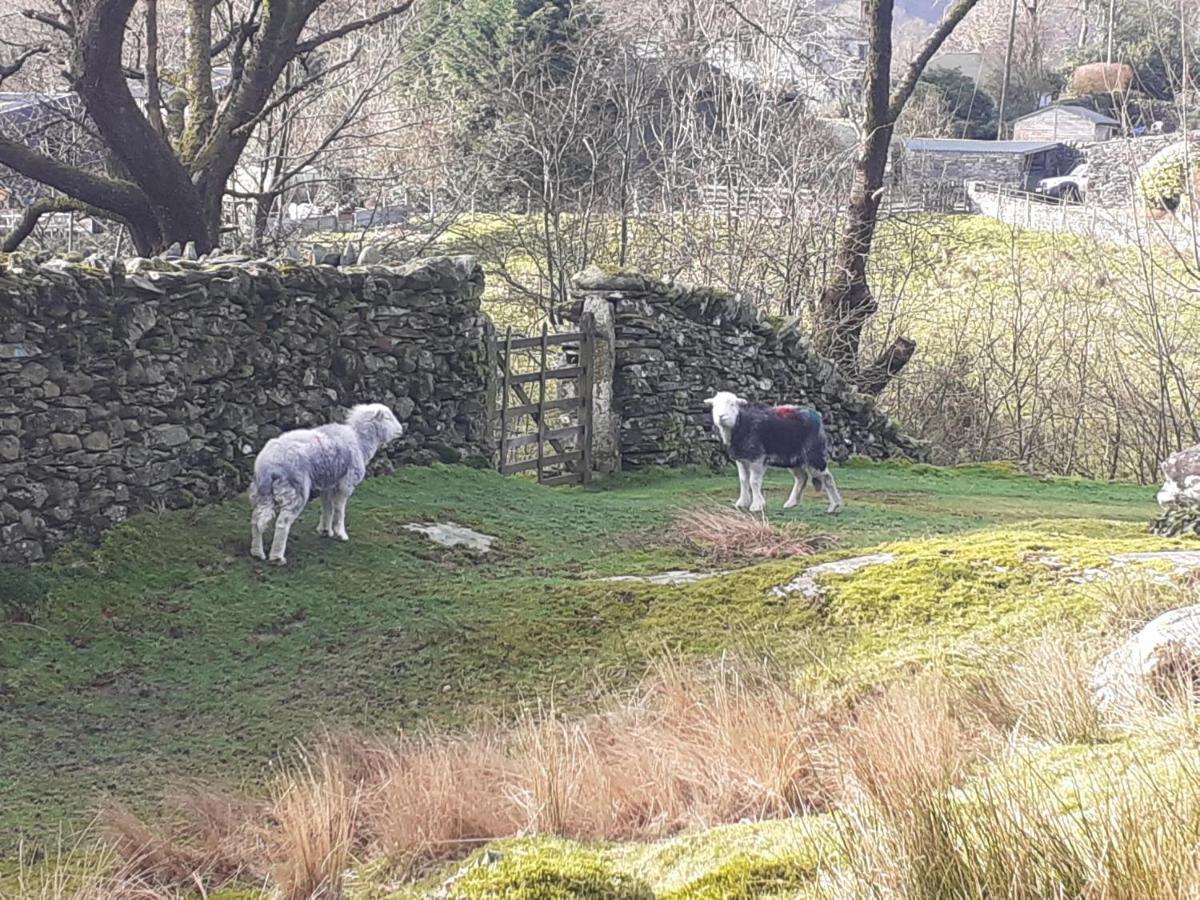 Invergarry Only For Adults Guest house Windermere