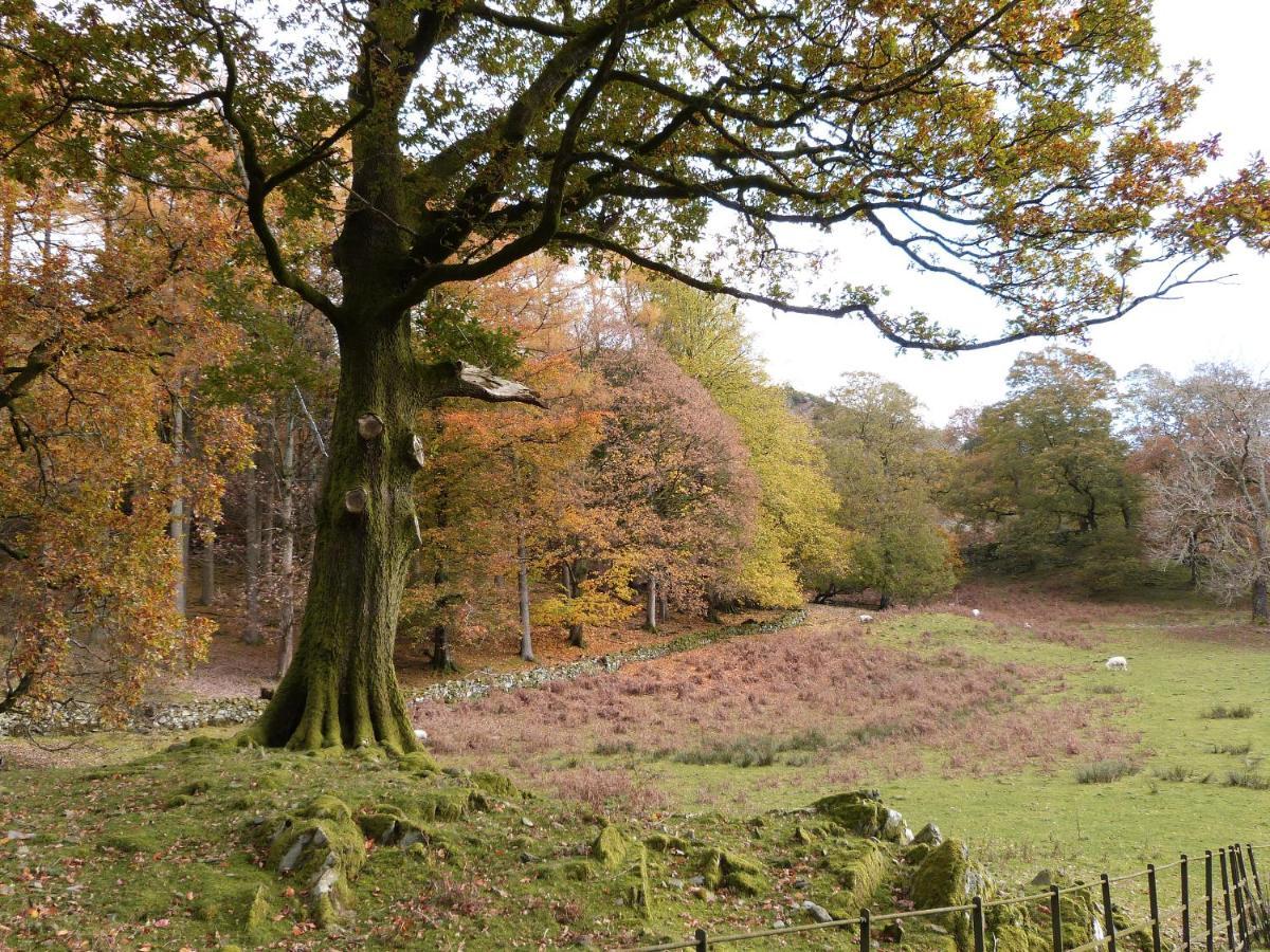 Holiday home Tarn