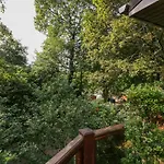 Tree House, Partial Lake Views