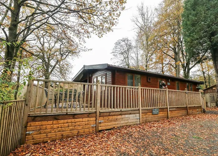 Tree View Lodge