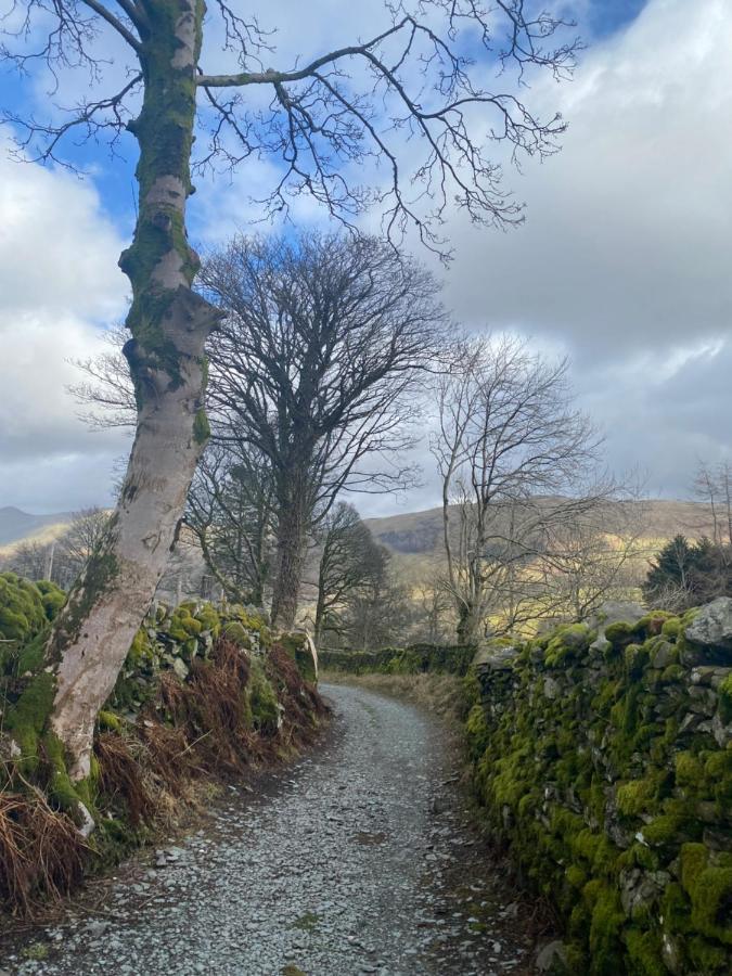 Ivy Bank