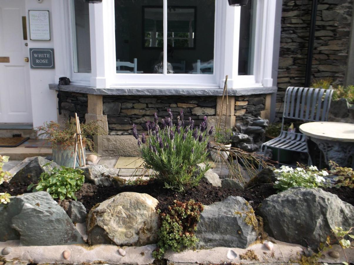 White Rose Guest house