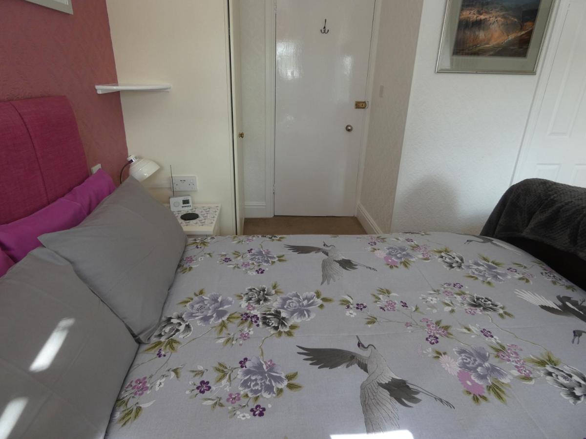 Guest house White Rose 4*
