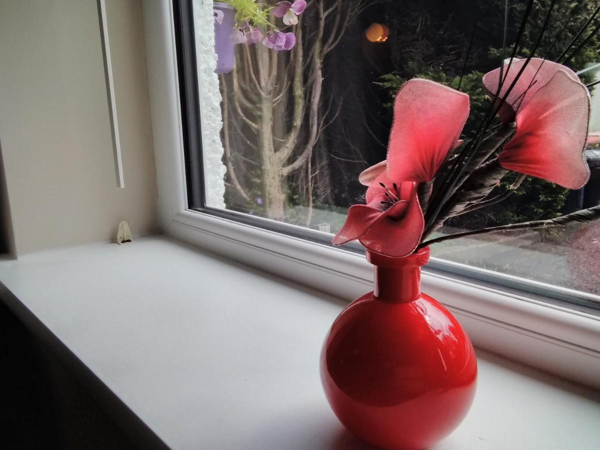 - With Free Car Parking Onsite Guest house