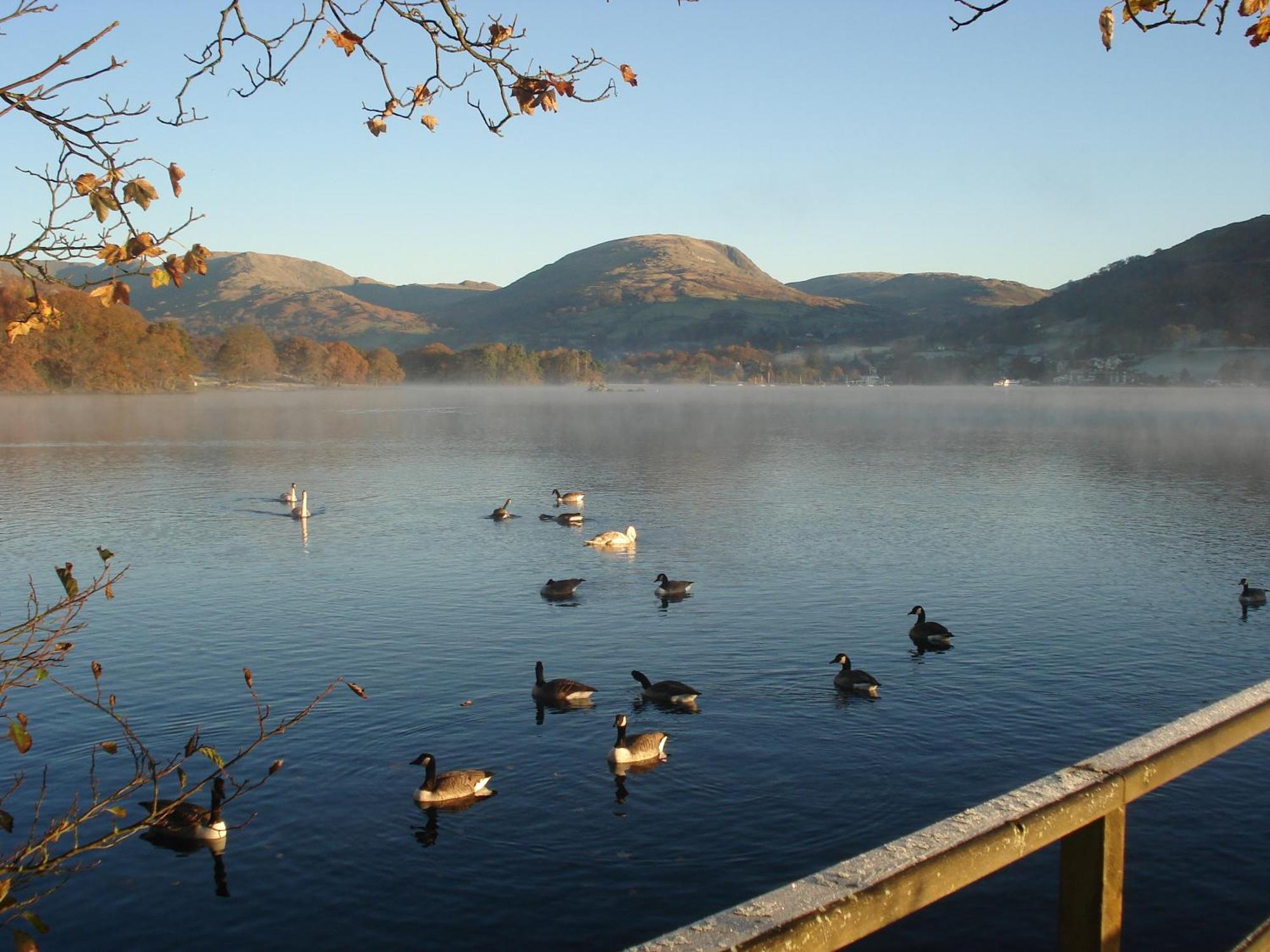 Guest house Autumn Leaves Windermere