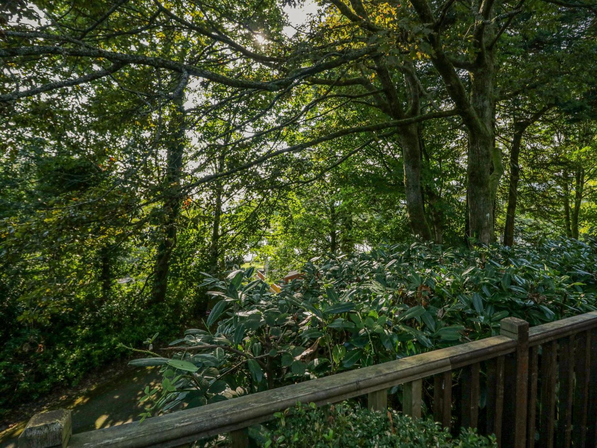 Tree House, Partial Views *